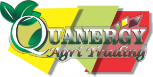 quanergy_logo